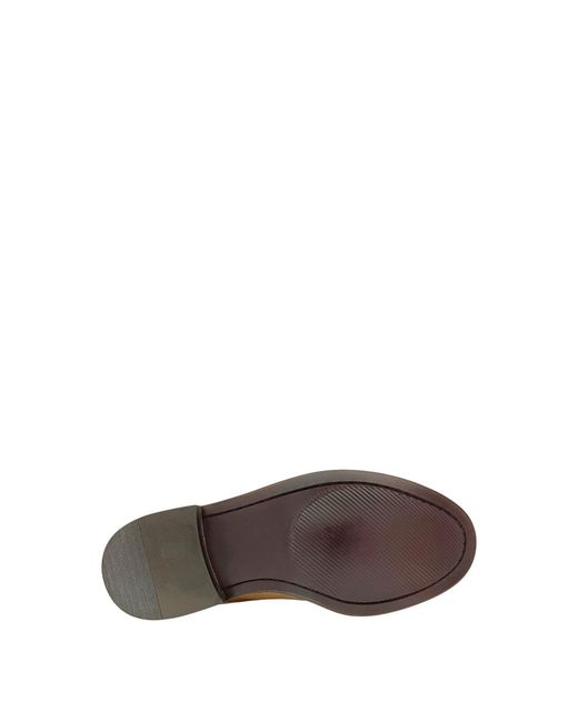 Firetrap Brown Arthur Derby Shoes for men