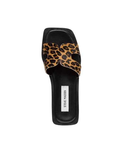 Steve Madden Brown Flat Sandals