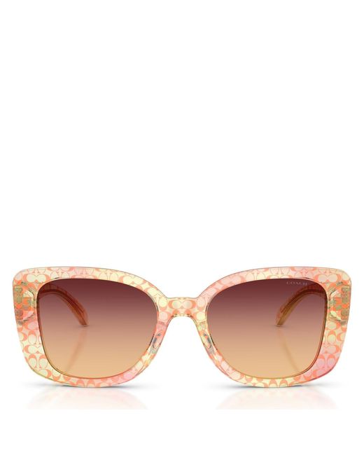 COACH Pink 0Hc8450U Oversized Sunglasses