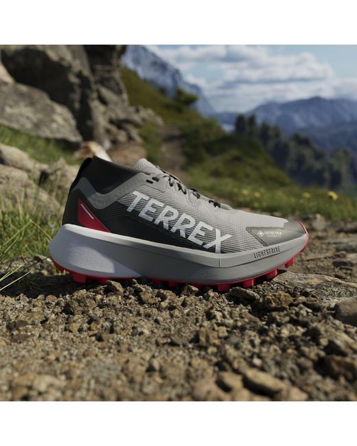 Adidas Blue Terrex Agravic Gtx Trail Running Shoes
