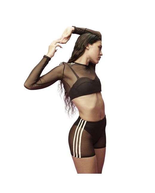Adidas Originals Brown Long-Sleeve Crop Top