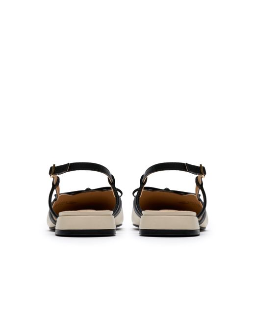 Clarks Brown Sensa15 Bow