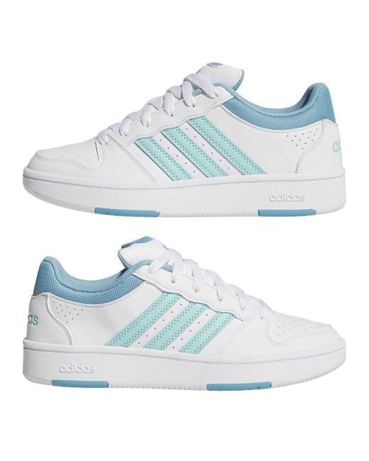Adidas Blue Hoops Classic