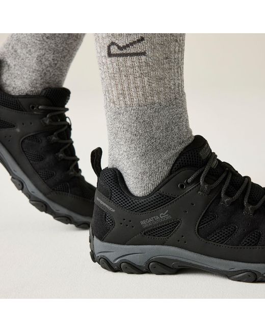 Regatta Black Edgepoint Iv Low Waterproof Walking Shoes for men