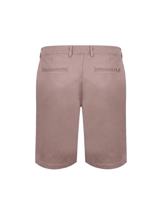 SoulCal & Co California Purple Chino Short for men