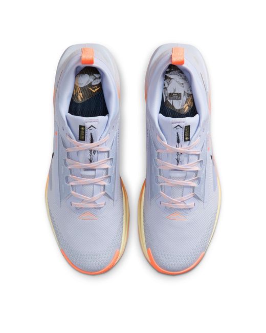 Nike Blue Pegasus Trail 5 Gore-Tex Running Shoes for men