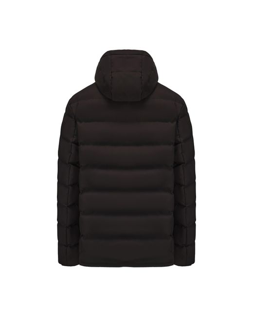 Loyalti Black Phantom Hooded Long Sleeve Synthetic Fill Short Puffer Jacket for men