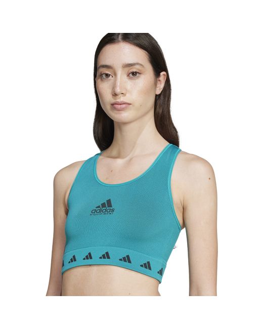 Adidas Originals Blue Eqt Top