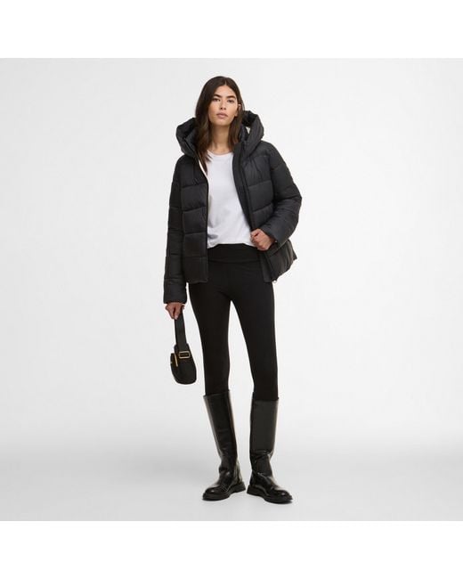 Barbour Black Olivios Hooded Long Sleeve Full Zip Short Puffer Jacket