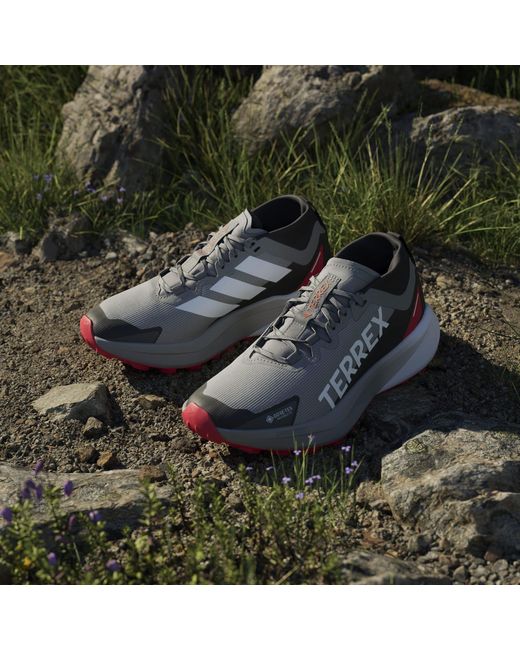 Adidas Blue Terrex Agravic Gtx Trail Running Shoes