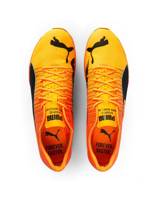 PUMA Orange Evospeed Forte Nitro Elit Track Running Spikes for men
