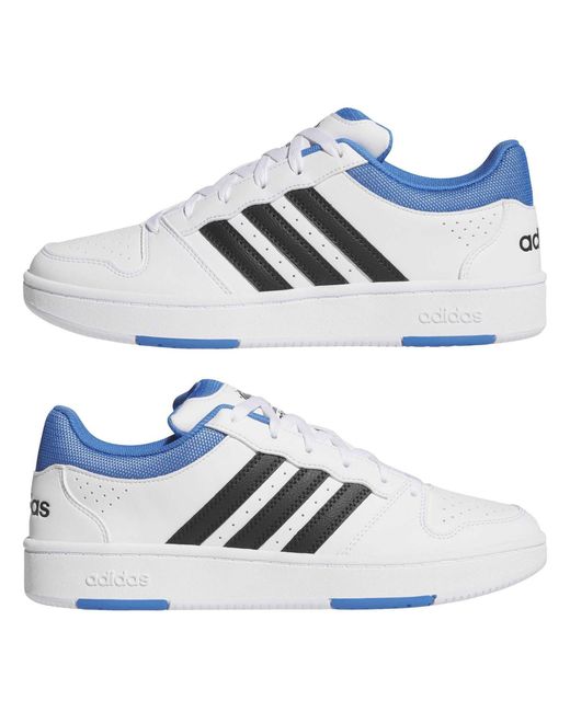 Adidas Blue Hoops Classic Court Trainers for men