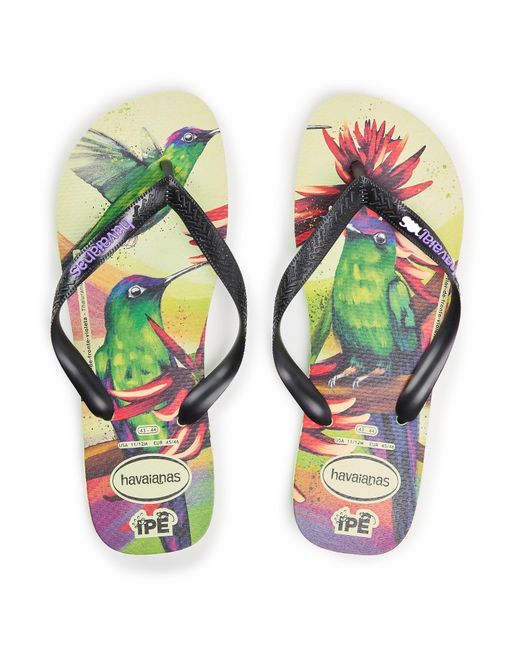 Havaianas Blue Ipe Flip Flops for men