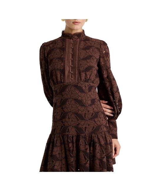 Bardot Brown Bd Remy Dress Ld64