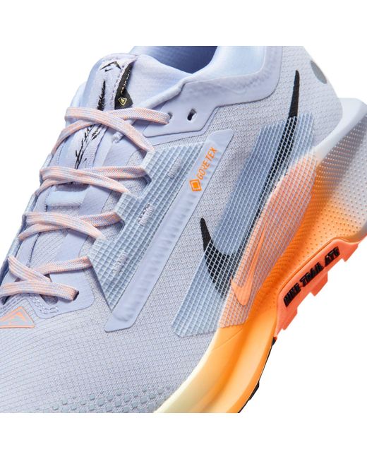 Nike Blue Pegasus Trail 5 Gore-Tex Running Shoes for men