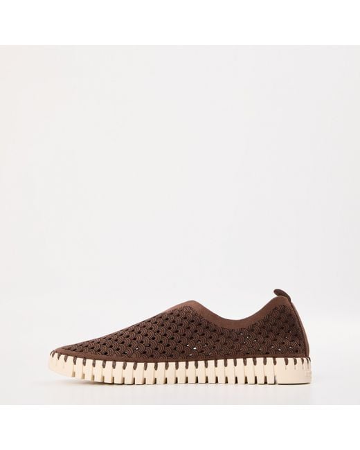 Ilse Jacobsen Brown Tulip Shoe