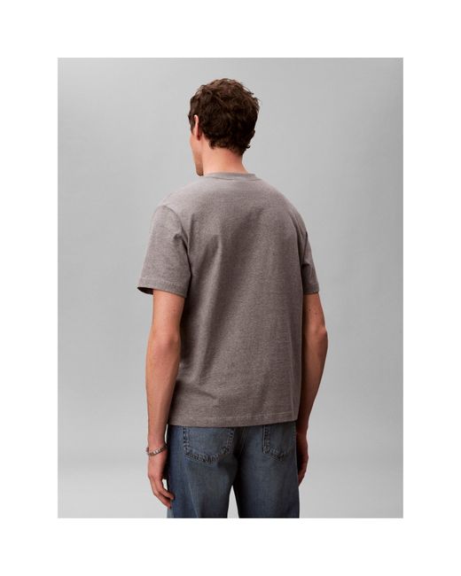 Calvin Klein Gray T-Shirt for men