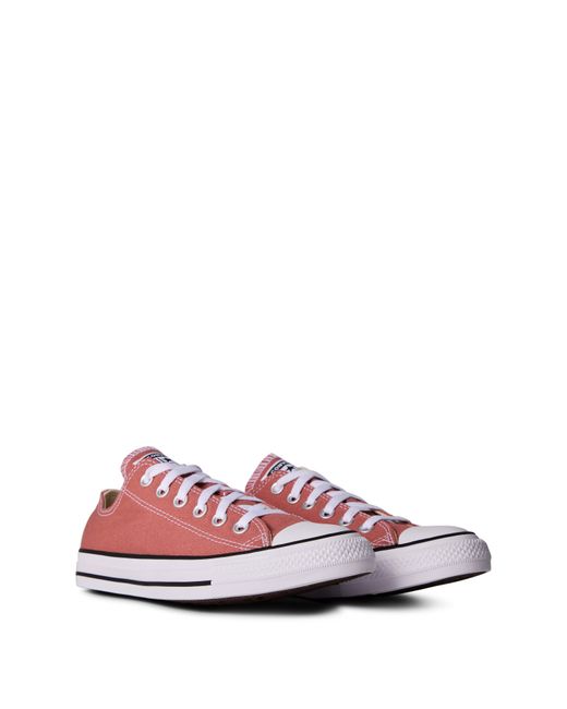 Converse Pink Chuck Taylor All Star Classic Trainers