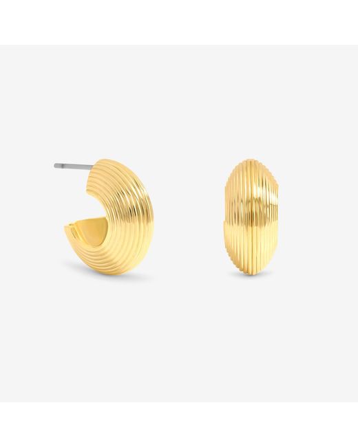 Jon Richard Metallic Ribbed Hoop Earrings