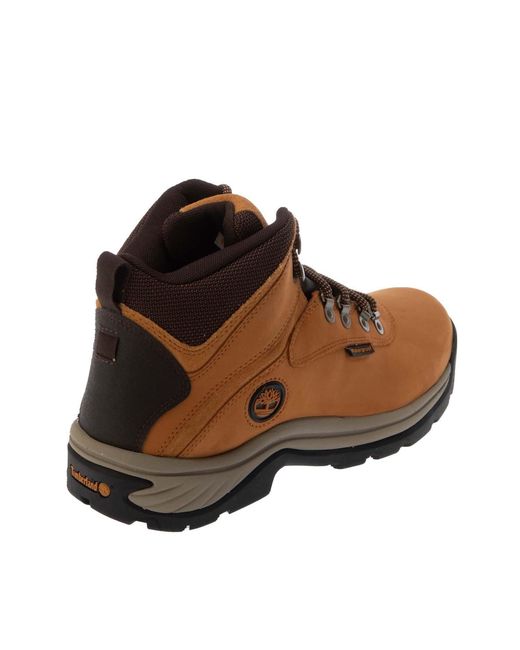Timberland Brown Ledge Waterpoof Mid Hiking Boots for men