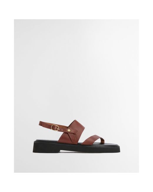 Barbour Brown Dakota Sandal