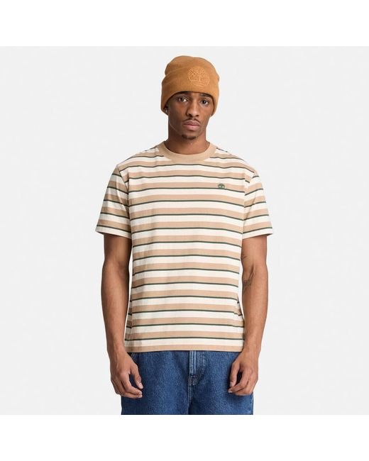 Timberland Natural Timb Stripe T Sn64 for men