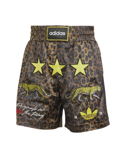Adidas Originals Gray All Over Print Fleece Jogger Shorts for men