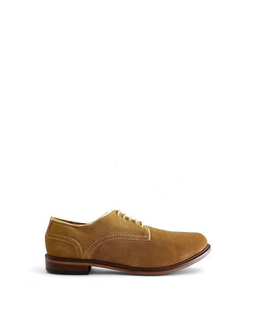 Firetrap Brown Arthur Derby Shoes for men