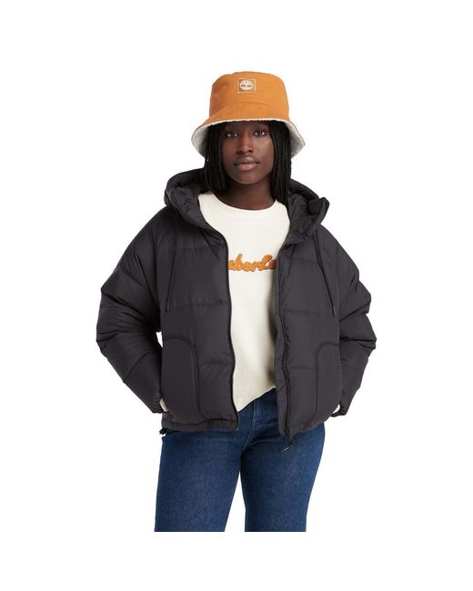 Timberland Blue Recycled Down Puffer Jacket