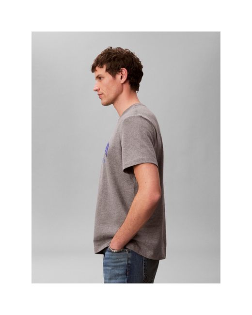 Calvin Klein Gray T-Shirt for men