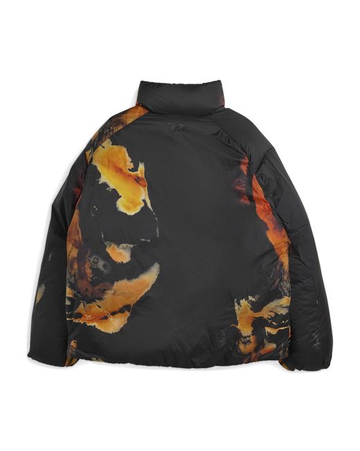 Y-3 Black Water Repellent Nylon Medium Puffer Jacket for men