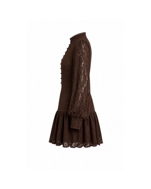 Bardot Brown Bd Remy Dress Ld64