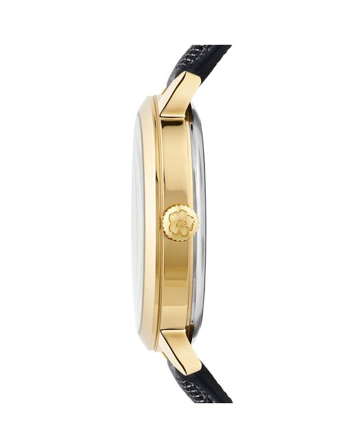 Ted Baker Metallic Lilabel Quartz Analogue Watch