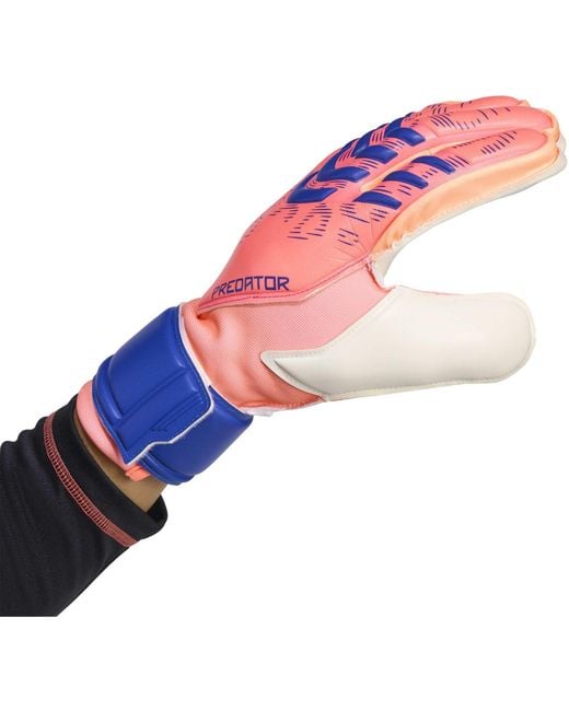 Adidas Blue Predator Match Fingersave Goalkeeper Gloves Adults