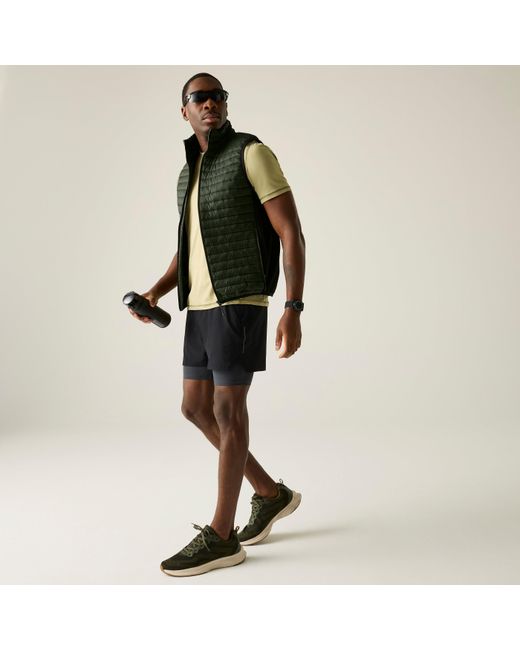 Regatta Green Andreson Hybrid Water-Repellent Bodywarmer for men