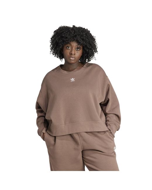 Adidas Originals Brown Adicolor Essentials Crew Sweatshirt (Plus Size)