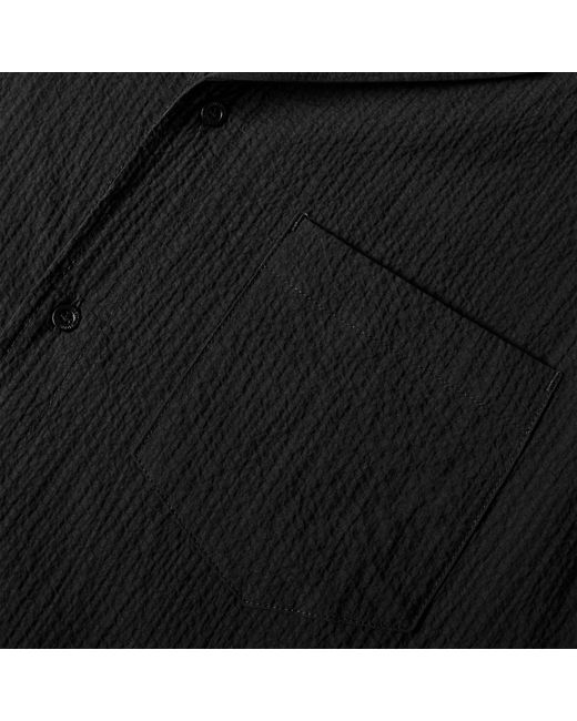 The Couture Club Black Woven Tracksuit Shorts for men