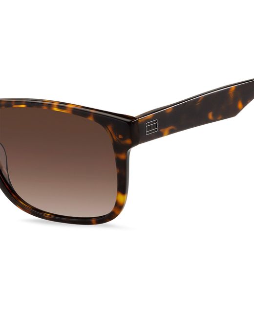 Tommy Hilfiger Brown Th 2073/S 086(Ha) for men