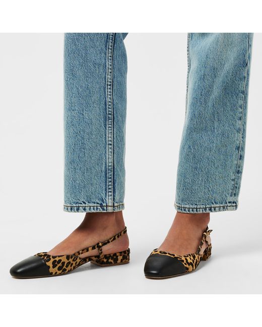 Steve Madden Brown Belinda Flat Shoes