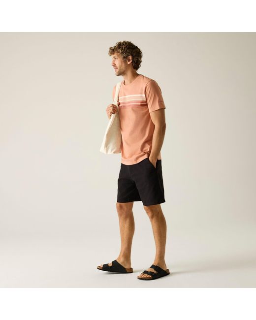 Regatta Multicolor Rendro Soft T-Shirt for men