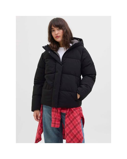 JJXX Black Global Short Puffer Jacket