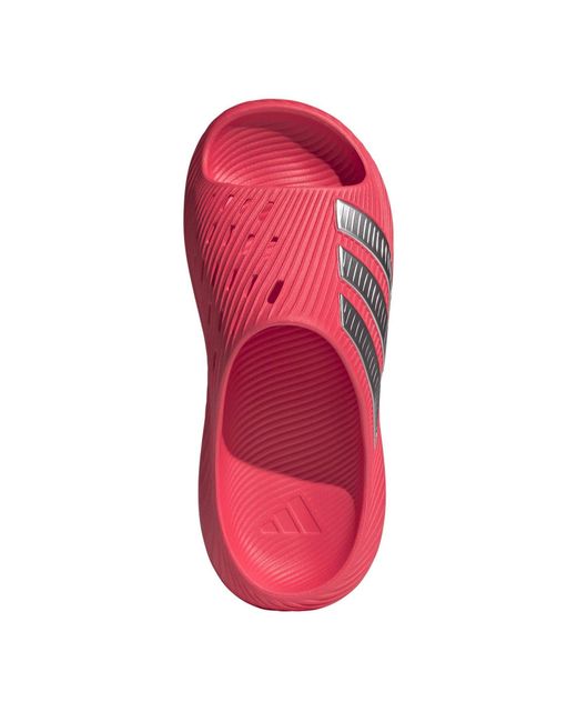 Adidas Pink Purechill Slide for men