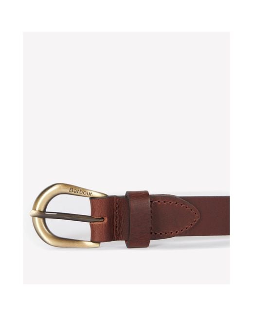 Barbour Brown Allanton Belt