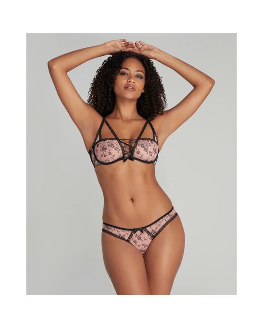 Agent Provocateur Brown Rosaleen Full Brief