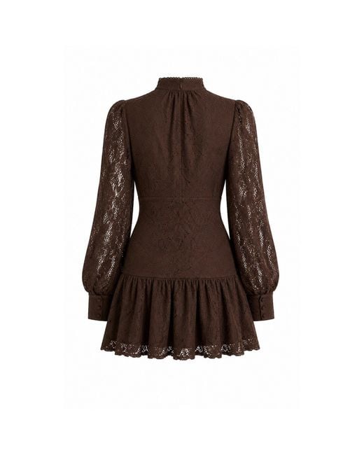 Bardot Brown Bd Remy Dress Ld64