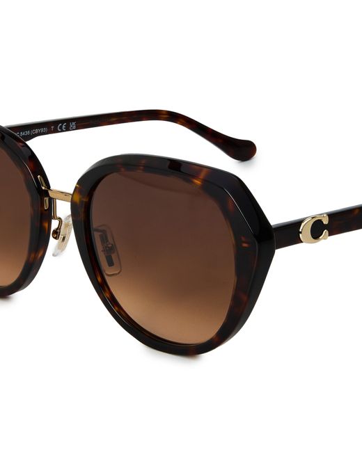 COACH Brown Round Sunglasses