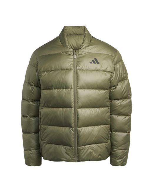Adidas Green Ess Sd Puf Jk for men