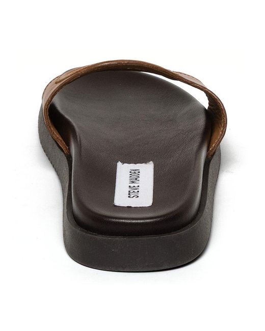 Steve Madden Brown Mayke Solid Flat Sandals