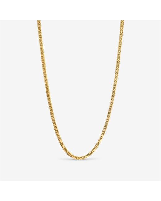 Inicio Metallic Waterproof Snake Chain Necklace for men