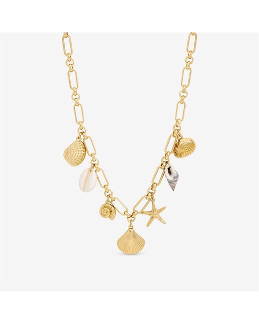 Inicio Metallic Plated Real Shell Charm Necklace